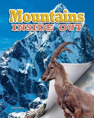 Book cover for Mountains Inside Out