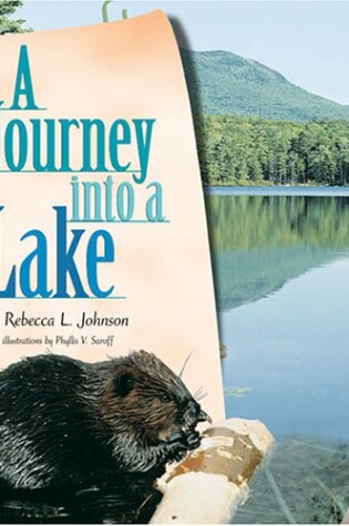 Cover of A Journey Into a Lake