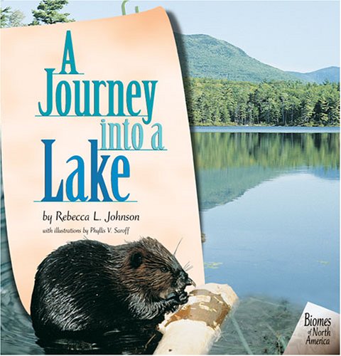 Cover of A Journey Into a Lake