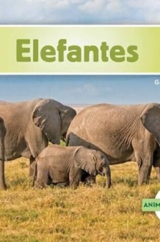 Cover of Elefantes (Elephants) (Spanish Version)