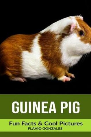 Cover of Guinea pig