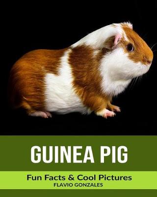 Book cover for Guinea pig