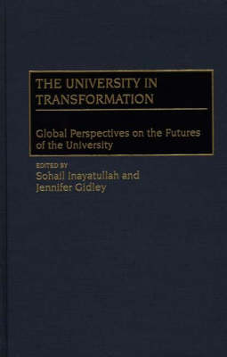 Book cover for The University in Transformation