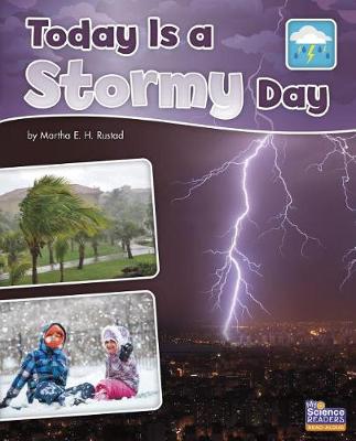 Book cover for Today Is a Stormy Day