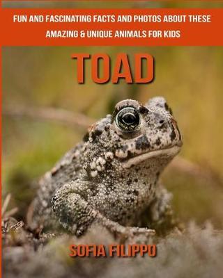 Book cover for Toad