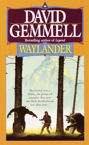 Book cover for Waylander