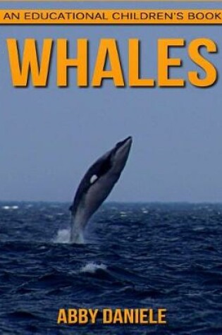 Cover of Whales! An Educational Children's Book about Whales with Fun Facts & Photos