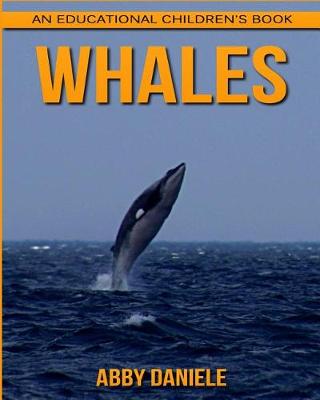 Book cover for Whales! An Educational Children's Book about Whales with Fun Facts & Photos
