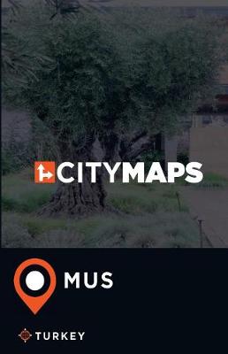 Book cover for City Maps Mus Turkey