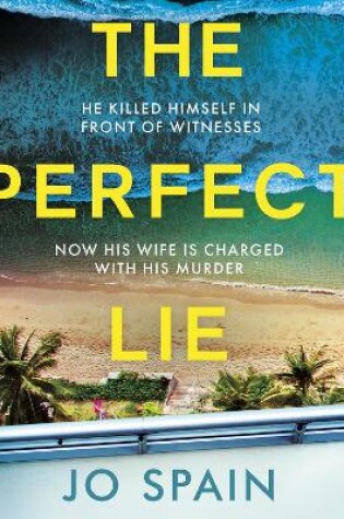 Cover of The Perfect Lie