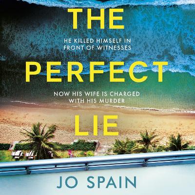 Book cover for The Perfect Lie