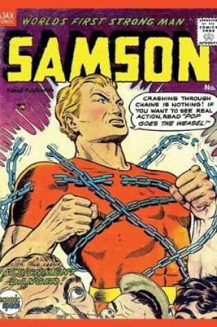 Cover of Samson #13