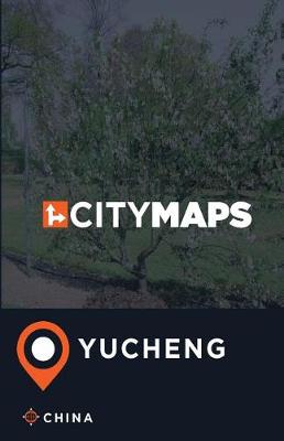 Book cover for City Maps Yucheng China