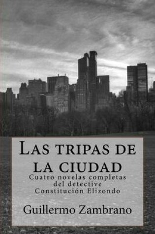 Cover of Las tripas de la ciudad