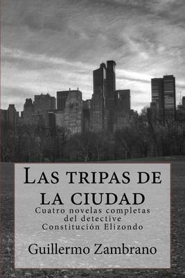 Book cover for Las tripas de la ciudad