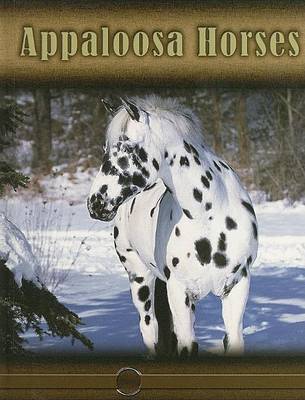 Book cover for Appaloosa Horses