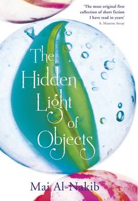 Book cover for The Hidden Light of Objects