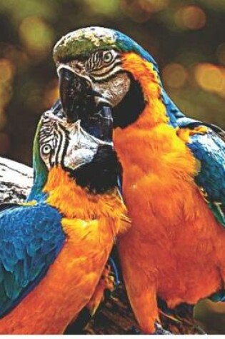Cover of Parrot Couple