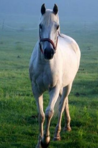 Cover of Equine Journal White Horse Galloping Across Field