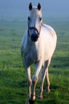 Book cover for Equine Journal White Horse Galloping Across Field