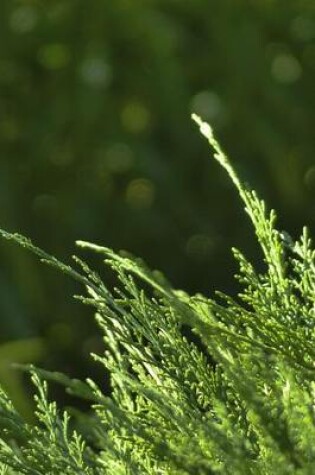 Cover of Cedar Tree Branches, for the Love of Nature