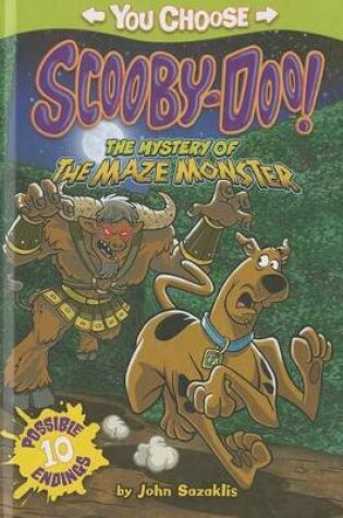 Cover of The Mystery of the Maze Monster