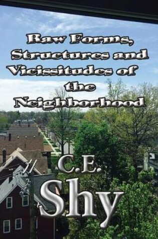 Cover of Raw Forms, Structures and Vicissitudes of the Neighborhood