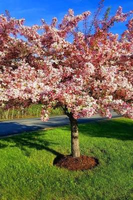 Book cover for Journal Flowering Tree Full Bloom