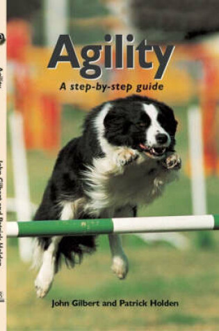 Cover of Agility