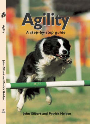 Book cover for Agility