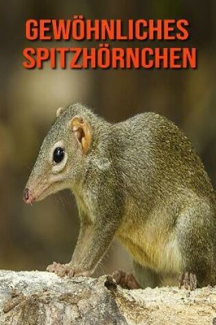 Cover of Gewöhnliches Spitzhörnchen