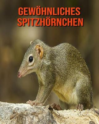 Book cover for Gewöhnliches Spitzhörnchen