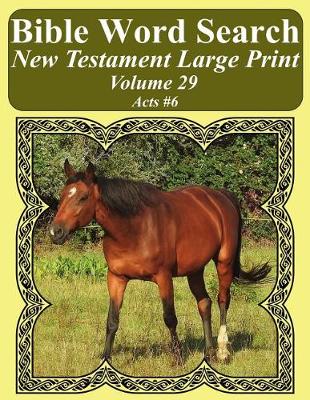 Book cover for Bible Word Search New Testament Large Print Volume 29
