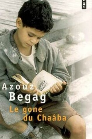 Cover of Le Gone du Chaaba