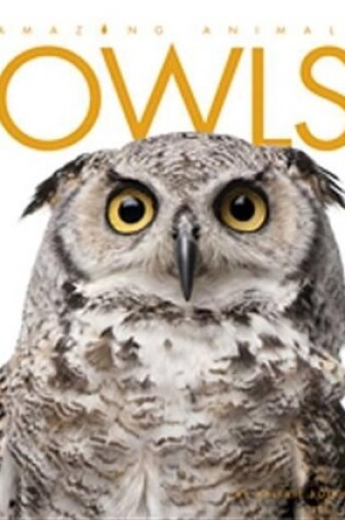 Cover of Owls