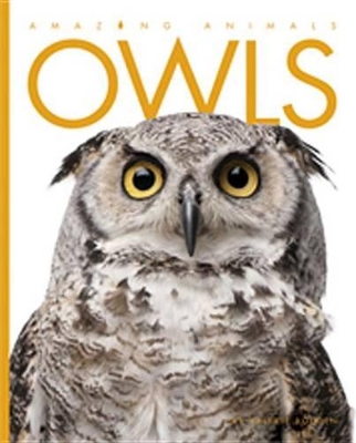 Cover of Owls