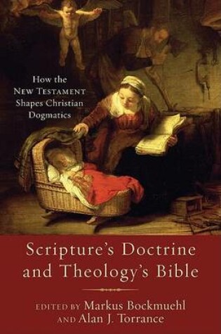 Cover of Scripture's Doctrine and Theology's Bible