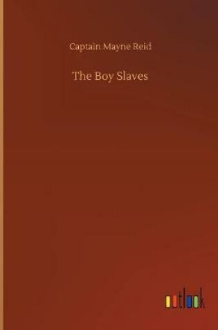 Cover of The Boy Slaves
