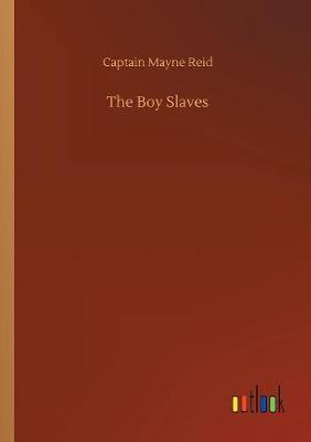 Book cover for The Boy Slaves