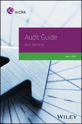 Book cover for Audit Guide