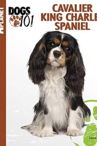 Cover of Cavalier King Charles Spaniel