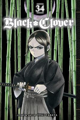 Book cover for Black Clover, Vol. 34