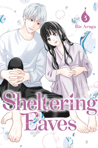 Cover of Sheltering Eaves 3