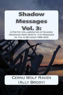 Book cover for Shadow Messages Vol. 3