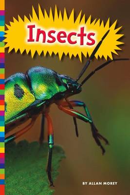 Cover of Insects