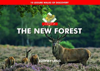 Book cover for A Boot Up the New Forest