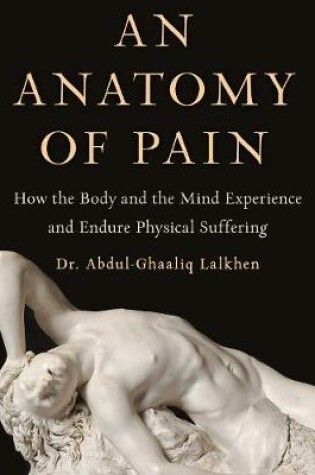 Cover of An Anatomy of Pain
