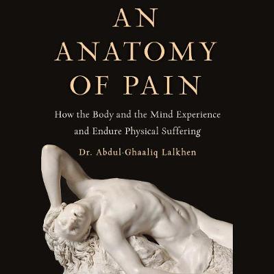 Book cover for An Anatomy of Pain