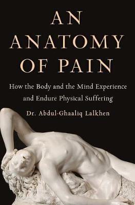 Book cover for An Anatomy of Pain
