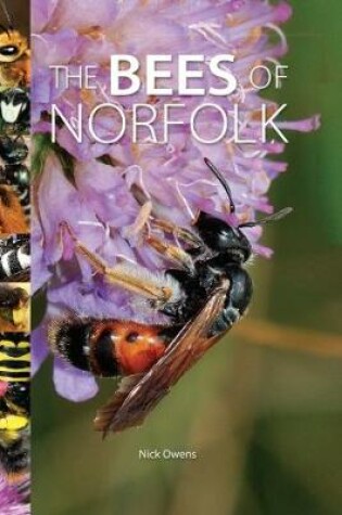 Cover of The Bees of Norfolk